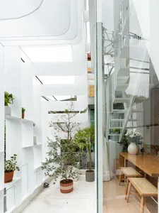Modern minimalist interior with glass walls, white walls, and indoor plants.