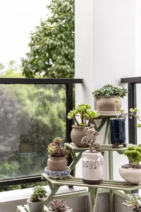 A modern interior decoration featuring a plant display with ceramic pots.