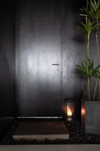 A minimalist entrance featuring a wooden door with a candle and potted plants.