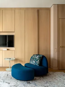 Modern living room with wooden cabinets, a blue sofa, and a patterned rug.