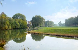 Beautiful green fields bordered by a calm water body with trees and houses in the background.