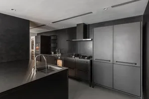 Modern kitchen with metallic surfaces and sleek design features.