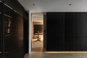 A modern minimalist living space featuring mixed materials, primarily wood.