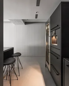 Modern residential kitchen featuring sleek concrete and minimalist design.