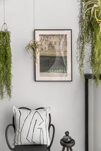 A modern living room featuring concrete walls, metal furniture, and hanging green plants.