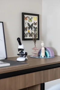 A modern home office with a wooden desk featuring a microscope, butterfly collection, and other decorative items.