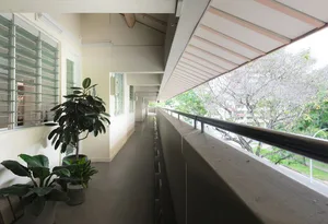 Concrete walkway with potted plants and a view of trees in the background.