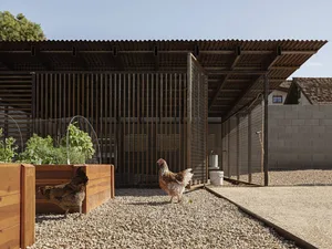 A rustic wooden and metal chicken coop with a gravel ground and a small garden plot.