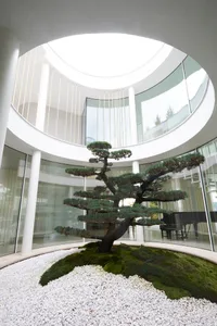 A minimalist interior with concrete walls and a round room featuring a bonsai tree in a moss bed.