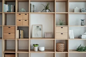 Modern wooden shelves organized with books, plants, and decorative items.