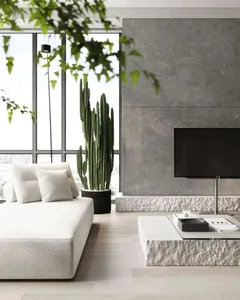 Modern living room featuring a minimalist sofa, a tall grey cactus plant, and a flat-screen TV on a concrete base.