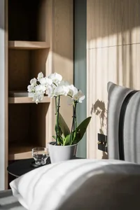 Modern minimalist bedroom featuring a white orchid plant in a pot, with a grey and black bed and a wooden shelf with books.