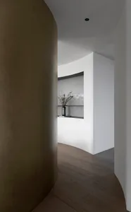 A modern residential interior featuring concrete walls, a vase with greenery, and a curved wall.