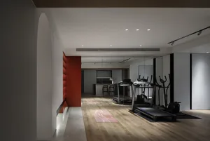 Modern home office and gym with wooden flooring and glass walls