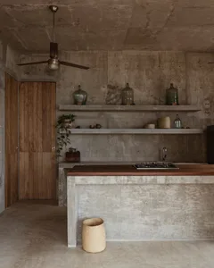 A minimalist kitchen with concrete walls, a wooden countertop, and floating shelves displaying green bottles and plants.