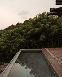 A modern swimming pool with a concrete edge surrounded by a brick patio and greenery in the background.