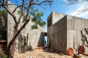 Modern residential exterior walls made of concrete, featuring a cobblestone pathway, cacti, and a bicycle.