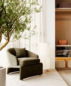 A minimalist living space with a comfortable green armchair, a tall indoor plant, and a neatly arranged closet.