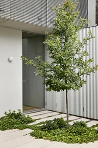 A modern entrance featuring metallic panels and concrete path with a central tree.