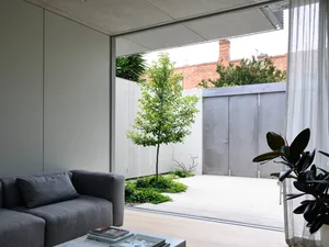 A modern living room with a concrete exterior and indoor plants.