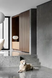 A modern living room with a golden retriever laying on the terrazzo flooring, featuring a sleek design and a wooden cabinet i