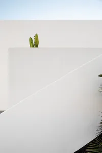 A minimalist architectural design featuring a white-painted wall.