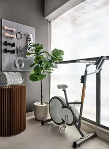 A modern fitness room with gray materials and greenery includes a stationary bike, dumbbells, headphones, a plant, and a stor