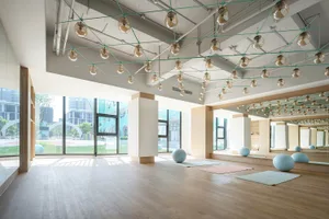 An empty, minimalist fitness studio with wooden flooring and glass windows.