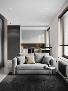 Contemporary living room featuring a grey upholstered sofa with pillows and a small side table.