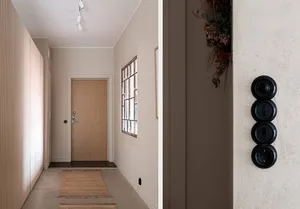 A minimalist entryway featuring a wooden door and a concrete floor with a rug.
