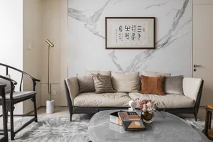 Modern living room with marble walls, a comfortable sofa, and a sleek coffee table.