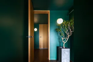 A minimalist interior space featuring concrete walls and a potted plant in a concrete planter.