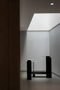 Minimalist interior with metallic columns and modern lighting installation