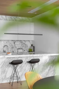 A modern minimalist kitchen featuring marble countertops and minimalist furniture.
