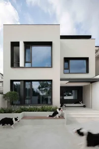 Modern house with concrete and glass exterior featuring dogs playing on the patio.