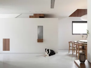 簡約住宅空間，混凝土地板與牆面，狗狗躺在地板上，餐廳區域搭配木質元素