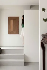 A modern minimalist design featuring a concrete staircase with a wooden panel and a bonsai tree