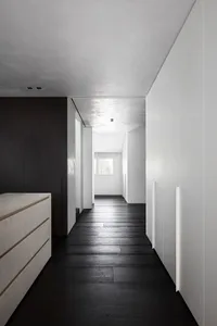 Modern minimalist hallway with blackwood floor and concrete walls.