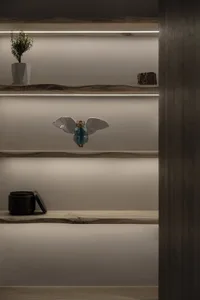 A modern shelf display featuring wooden shelves with built-in lighting.