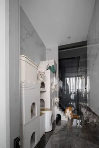 A modern, white indoor cat play space with various levels and platforms for cats to explore and relax.