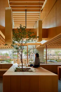A minimalist interior design with wooden furniture and a tree in the center.