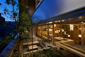 Modern indoor garden space featuring wooden elements and lighting.