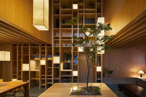 A modern residential space featuring wooden materials and a lush indoor tree.