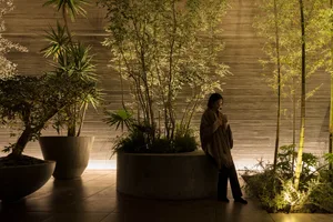 A modern interior space illuminated by trees, with a person standing near a large planter.