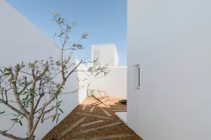 Minimalist patio with concrete floor, wooden chairs, and a small olive tree.
