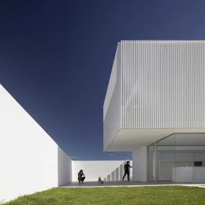 Modern house with a minimalist design featuring a white exterior clad with white ribbed panels.