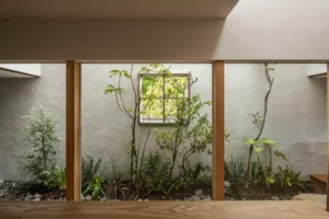 A minimalist interior with a glass window and green plants.