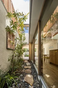 A modern residential garden with wooden walls, rock pathway, and green foliage.