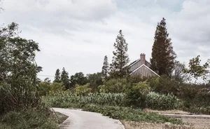 A rustic rural house surrounded by green vegetation and a pathway leading to it.