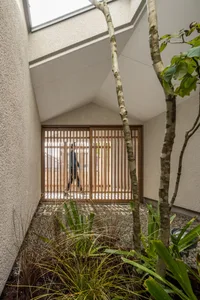 A modern house entry featuring wooden gates, gravel ground, and green plants.